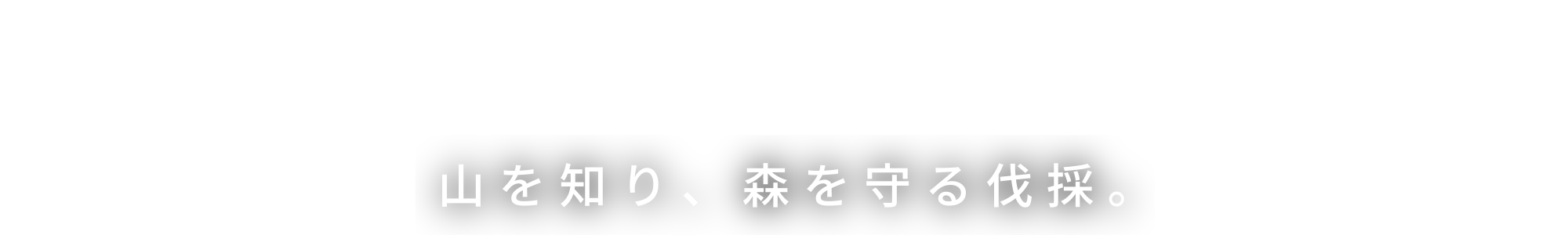 山を知り、森を守る伐採。